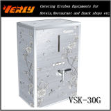 30L Vertical Water Heater Vks-30g