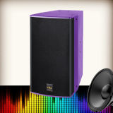 Dw-12 Single 12 Inch 2-Way Hifi Speaker