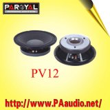 Speaker PV12