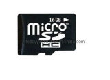 Micro SD Card (1005)