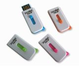Mini USB Flash Drive (NS-565)