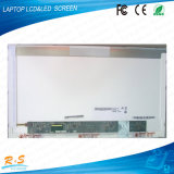 Auo B140xw01 14'' Laptop Accessories LCD Screen Panel