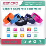 Wholesale Manufacturer Best Quality Heart Rate Monitor Pedometer
