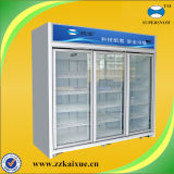 Self Closing Door Vertical Freezer Showcase Frozen Food Display Refrigerator