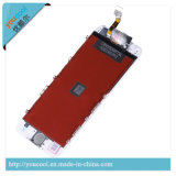 12 Months Warranty LCD Assembly for iPhone 6plus
