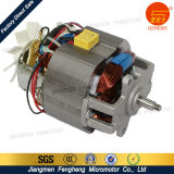 Home Appliance 220V AC Motor