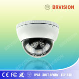 Back Vision System for Motorhome with Dome Camera