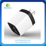 DC/AC 5V 2A Double USB Wall Charger for Mobile Phone