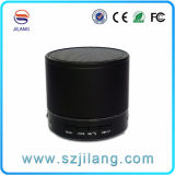 Private Model Bluetooth Speaker with FM Function Handsfree Phone Call