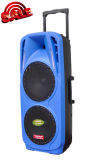 Rechargeable Battery DJ Speaker with USB/SD Bluetooth Wireless Microphones