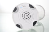 2014 New Product Dancing Water Bluetooth Fresh Speaker (E-212)