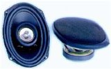Car Speakers(QY-6924)