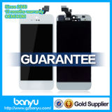 Mobile Phone Replacement LCD Assembly for iPhone 5