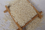 Good Quality White Sesame at Lowest Price