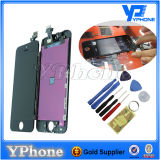 Wholesale for iPhone 5 Screen Glass Lens Black