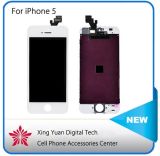 Mobile Phone Touch Screen with Display LCD for iPhone 5