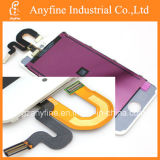 LCD Display Screen for Apple iPod Touch 5