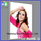 Slim Light Box with Wall Sign Light for Office Wall Sign
