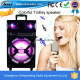 Ms-12D Rechargeable Trolley Speaker with Bluetooth/FM/MP3/SD