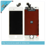 Mobile Phone LCD for iPhone 5 5g /Mobile Phone Part/Parts