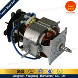 Home Appliances Custom Motor