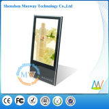 19 Inch Vertical HD LCD Advertising Display
