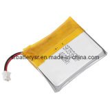 Polymer Lithium Battery for PDA
