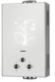 Gas Water Heater with Stainless Steel Panel (JSD-C63)