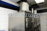 Used Ice Flake Machines for Sale
