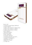 Large Capacity and New Style Power Bank/Power Bank