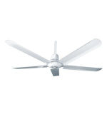 Electric Ceiling Fan with 5 Metal Blade