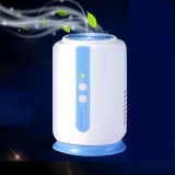 Two Workiong Modes Purifier with Ozone 5mg/H and Anion One Million PCS/Cm3