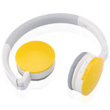 Hifi Bluetooth Headset Wireless Headset/Headphone/Earphone (HF-100)