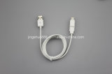 USB Charing and Data Cable for iPhone (CA-UL-012)