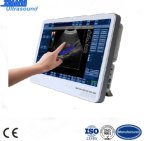 22 Inch Big Touch Screen with 3D Function Color Doppler