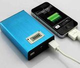 OEM New Protable Double USB Power Bank