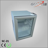 21L Popular Novelty Refrigerators for Convenience Store (SC21)