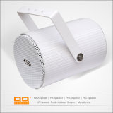 Ldq-003 Professional Portable Wall Speaker