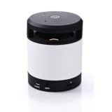 New Arrival Prtable Speaker with Bluetooth Function (UB12)
