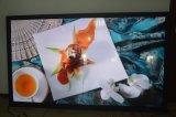 55 Inch Wall Mounted LCD Display