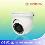 Dome Camera Rear View System with IR Light
