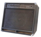40W Bass Guitar Amplifier (FC-40B)