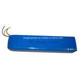11.1V Rechargeable Lithium Polymer Battery Pack (2200mAh)