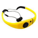 Ipx8 Waterproof Bluetooth Stereo Headset (BHWBH9)