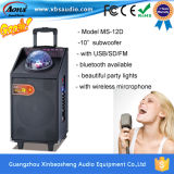 Rechargeable Multimedia Speaker Support USB/SD/P2RCA/Guitar/Mic Inputs