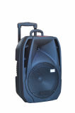 Troelly Speakers/PA Speaker/Plastic Speaker Box F24
