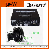 Professional Sound Audio Power Amplifier (YT-698D)