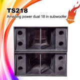 Ts218 Self-Design Amazing Power Professional Speaker Subwoofer
