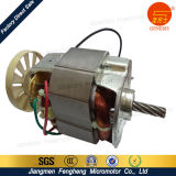China Home Appliances 220V Motor