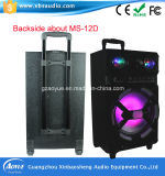Active Rechargeable Portable Speaker with Disco Ball Light